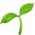 Plant icon